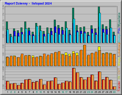 Raport Dzienny -  listopad 2024