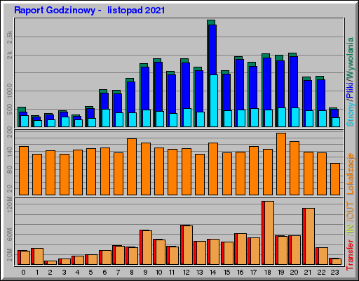 Raport Godzinowy -  listopad 2021
